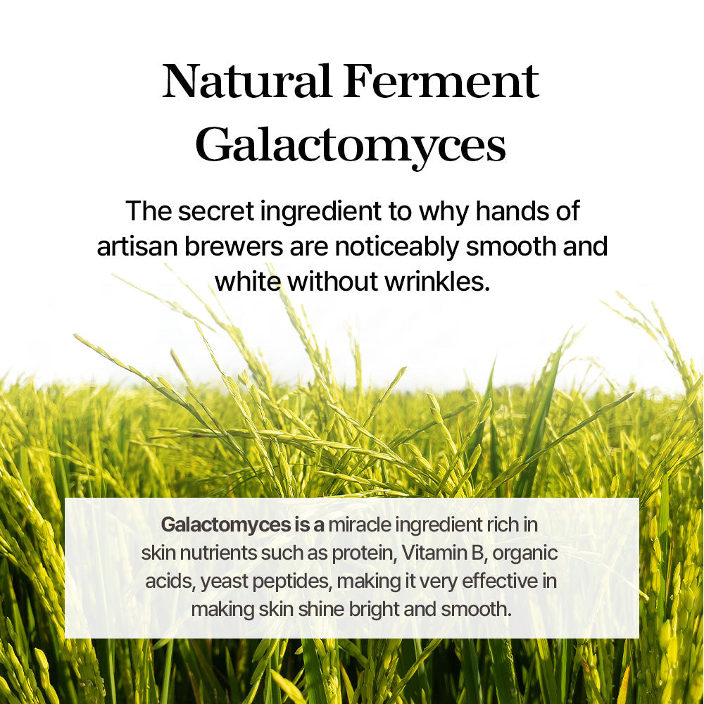 Mixsoon Galactomyces Ferment Essence texture