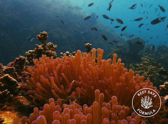 Purito Wonder Releaf Sun Lotion reef safe formula